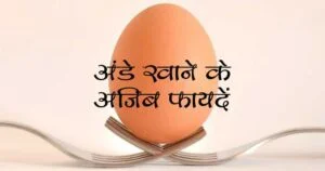 Read more about the article Uble Ande Khane Ke Fayde – उबले अंडे खाने के अजीब फायदे