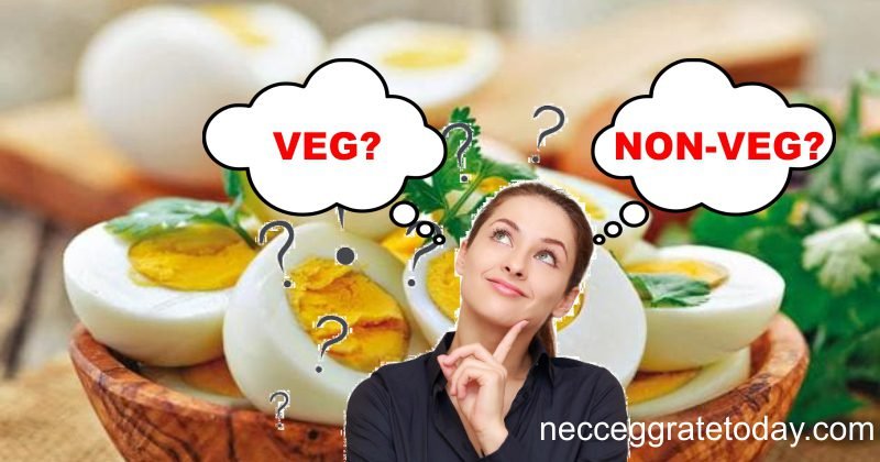 egg-is-veg-or-non-veg