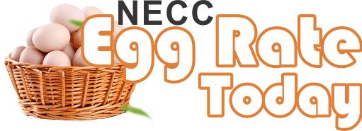 necc-egg-rate-today-logo