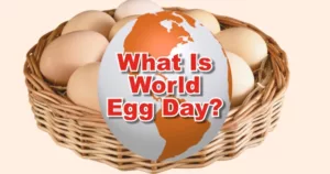 world-egg-day-2023