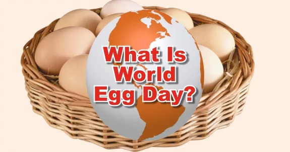 Read more about the article World Egg Day 2023 पर जान लो की आखिर क्यों मनाया जाता है?